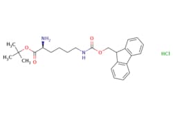 eMolecules​&nbsp;330795-57-8 | (S)-TERT-BUTYL 6-(((9H-FLUOREN-9-YL)METHOXY)CARBONYLAMINO)-2-AMINOHEXANOATE HYDROCHLORIDE | AstaTech | MFCD26131502 | 461.000 | C25H33ClN2O4 | 95.000 | Cl.CC(C)(C)OC(=O)[C@@H](N)CCCCNC(=O)OCC1c2ccccc2-c2ccccc12 | 1g | 718059054
