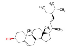 eMolecules​&nbsp;83-48-7 | STIGMASTEROL | AstaTech | MFCD00003630 | 412.702 | C29H48O | 95.000 | CC[C@H](\C=C\[C@@H](C)[C@H]1CC[C@H]2[C@@H]3CC=C4C[C@@H](O)CC[C@]4(C)[C@H]3CC[C@]12C)C(C)C | 25g | 449731638