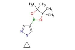 eMolecules​&nbsp;1151802-22-0 | 1-Cyclopropyl-1H-pyrazole-4-boronic acid pinacol ester | Combi-Blocks | MFCD16659007 | 234.110 | C12H19BN2O2 | 97.000 | CC1(C)OB(OC1(C)C)c1cnn(c1)C1CC1 | 1g | 249355523