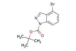 eMolecules​&nbsp;1-Boc-4-bromo-1H-indazole ? ? | Chem-ImpexMFCD11110271 | 297.152 | C12H13BrN2O2 | 95.000 | CC(C)(C)OC(=O)n1ncc2c(Br)cccc12 | 1g | 386899184