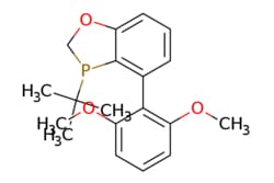 eMolecules​&nbsp;1246888-90-3 | rac-BI-DIME | ChemScene | MFCD30748198 | 330.364 | C19H23O3P | 98.000 | COc1cccc(OC)c1-c1cccc2OCP(c12)C(C)(C)C | 1g | 572168205