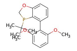 eMolecules​&nbsp;1246888-90-3 | rac-BI-DIME | ChemScene | MFCD30748198 | 330.364 | C19H23O3P | 98.000 | COc1cccc(OC)c1-c1cccc2OCP(c12)C(C)(C)C | 5g | 572168206