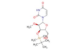 eMolecules​&nbsp;171268-84-1 | 3??-O-[(1,1-Dimethylethyl)dimethylsilyl]-2??-O-methyluridine | Ambeed | MFCD28976151 | 372.493 | C16H28N2O6Si | 97.000 | CO[C@@H]1[C@H](O[Si](C)(C)C(C)(C)C)[C@@H](CO)O[C@H]1n1ccc(=O)[nH]c1=O | 25g | 865759469