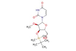 eMolecules​&nbsp;171268-84-1 | 3??-O-[(1,1-Dimethylethyl)dimethylsilyl]-2??-O-methyluridine | Ambeed | MFCD28976151 | 372.493 | C16H28N2O6Si | 97.000 | CO[C@@H]1[C@H](O[Si](C)(C)C(C)(C)C)[C@@H](CO)O[C@H]1n1ccc(=O)[nH]c1=O | 5g | 845539640