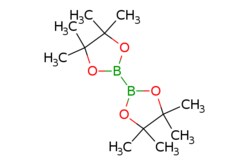 eMolecules​&nbsp;73183-34-3 | Bis(pinacolato)diborane | Ambeed | MFCD00799570 | 253.940 | C12H24B2O4 | 98.000 | CC1(C)OB(OC1(C)C)B1OC(C)(C)C(C)(C)O1 | 10g | 525152009