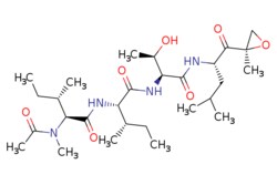 eMolecules​&nbsp;134381-21-8 | BU-4061T | AstaTech | MFCD03791061 | 554.729 | C28H50N4O7 | 95.000 | CC[C@H](C)[C@H](NC(=O)[C@H]([C@@H](C)CC)N(C)C(C)=O)C(=O)N[C@@H]([C@@H](C)O)C(=O)N[C@@H](CC(C)C)C(=O)[C@@]1(C)CO1 | 0.01g | 808221818