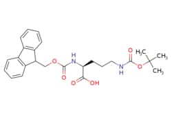 eMolecules​&nbsp;109425-55-0 | Fmoc-Orn(Boc)-OH | ChemScene | MFCD00065668 | 454.523 | C25H30N2O6 | 98.000 | CC(C)(C)OC(=O)NCCC[C@H](NC(=O)OCC1c2ccccc2-c2ccccc12)C(O)=O | 500g | 602866650
