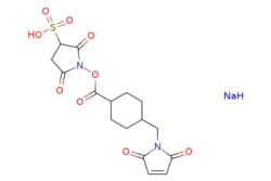 eMolecules​&nbsp;92921-24-9 | Sulfo-SMCC (sodium) | ChemScene438.380 | C16H19N2NaO9S | 95.000 | [NaH].OS(=O)(=O)C1CC(=O)N(OC(=O)C2CCC(CN3C(=O)C=CC3=O)CC2)C1=O | 1g | 602867085