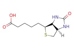 eMolecules​&nbsp;58-85-5 | D-(+)-Biotin | Apollo Scientific US - Building Blocks | MFCD00005541 | 244.310 | C10H16N2O3S | 98.000 | OC(=O)CCCC[C@@H]1SC[C@@H]2NC(=O)N[C@H]12 | 1g | 398006419