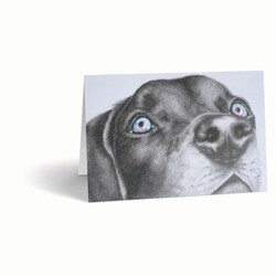 Med Vet International&nbsp;Sympathy Cards, Canine Galaxy, 10/Pack, J1483A