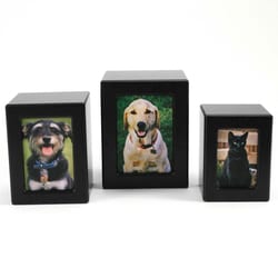 Med Vet International&nbsp;Jorvet Black Finish MDF Photo Box Urn, Medium, J0316PFM