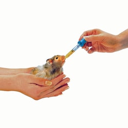 Med Vet International&nbsp;Plastic Medicine Dropper, 2.5mL, J0824C