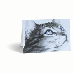 Med Vet International&nbsp;Sympathy Cards, Feline Galaxy, 10/Pack, J1483