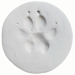 Med Vet International&nbsp;ClayPaws Kits & Accessories - White kit, J1500, Each