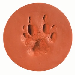 Med Vet International&nbsp;ClayPaws Kits & Accessories - Terra Cotta kit, J1500TC, Each