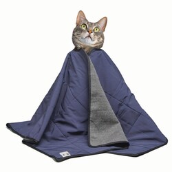 Med Vet International&nbsp;Smart Cat Cape, J1694, Each