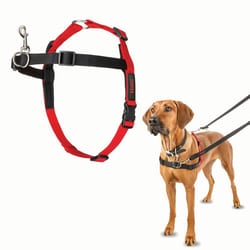 Med Vet International&nbsp;Jorvet Halti Harness, Large, J1012C, Each