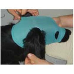 Med Vet International&nbsp;VetMed Care Leg/Head Extremity, J1055G, Set of 4