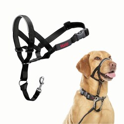 Med Vet International&nbsp;Jorvet #3 Halti Head Collar, J1011D, Each