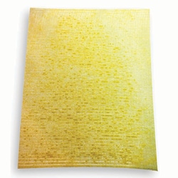 Med Vet International&nbsp;Manuka ND 10X12.5cm Non-Adherent Dressing Sterile, J1251A