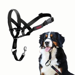 Med Vet International&nbsp;Jorvet #5 Halti Head Collar, J1011F, Each