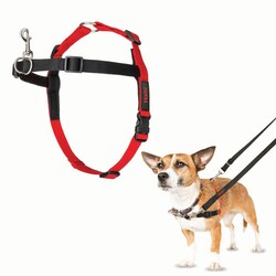 Med Vet International&nbsp;Jorvet Halti Harness, Small, J1012A, Each