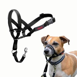 Med Vet International&nbsp;Jorvet #0 Halti Head Collar, J1011A, Each