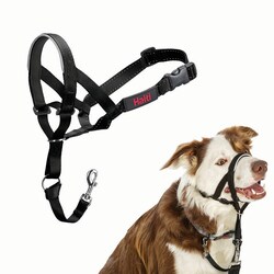 Med Vet International&nbsp;Jorvet #2 Halti Head Collar, J1011C, Each