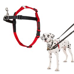 Med Vet International&nbsp;Jorvet Halti Harness, Medium, J1012B, Each