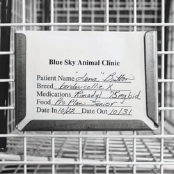 Med Vet International&nbsp;Jorvet Cage Card Holder, 3in x 5in, J0461X, Each