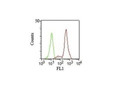 Biotium CD11c(HC1/1), CF740 conjugate, 0.1mg/mL, Quantity: Each of 1