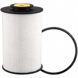 MSC&nbsp;FELT FUEL