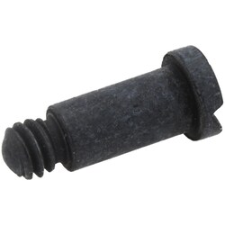 MSC&nbsp;RETAINING SCREW