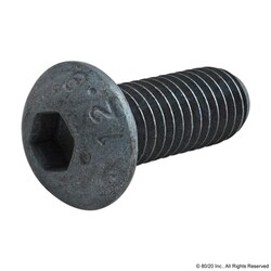 MSC&nbsp;80/20 Inc. Button Head Socket Cap Screw, Steel, M8 x 1.25, 20.00 mm, 1 ea