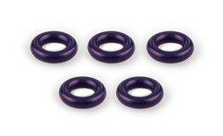 Glass Expansion&nbsp;Teflon Coated Viton O-Rings (PKT 5)
