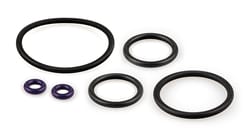Glass Expansion&nbsp;O-ring Kit for Q Torch base (31-808-3494)