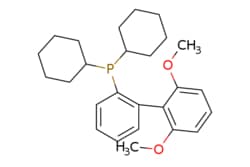eMolecules​&nbsp;657408-07-6 | 2-Dicyclohexylphosphino-2',6'-dimethoxybiphenyl | Synthonix - Stock | MFCD05861611 | 410.538 | C26H35O2P | 95.000 | COc1cccc(OC)c1-c1ccccc1P(C1CCCCC1)C1CCCCC1 | 5g | 525914577