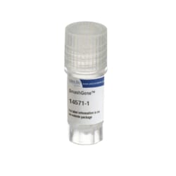 Kyfora Bio&nbsp;Smashgene Transfection Reagent 1mL bottle transfection reagent   1/EA