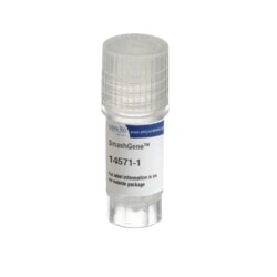 Kyfora Bio&nbsp;Smashgene Transfection Reagent 10mL bottle transfection reagent   1/EA