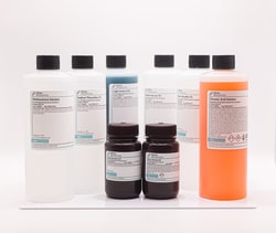 Ethos Biosciences&nbsp;Grocott Methenamine Silver Kit, Ethos