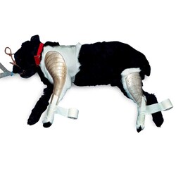 Med Vet International&nbsp;Rear Splint, J0119QR, Right, Small, 4 Count