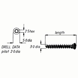 Med Vet International&nbsp;Cancellous Screw, J0419DC, 3mm x 12mm, Each