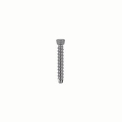 Med Vet International&nbsp;Locking Screw 3.5mm 24mm Star/Torx, J0438LTG, Each