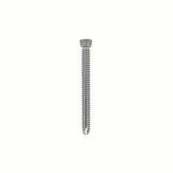Med Vet International&nbsp;Locking Screw 3.5mm x 36mm Star/Torx, J0438LTP, Each