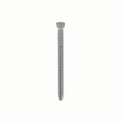 Med Vet International&nbsp;Locking Screw 3.5mm x 42mm Star/Torx, J0438LTS, Each