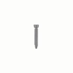 Med Vet International&nbsp;Locking Screw 3.5mm x 22mm Star/Torx, J0438LTF, Each