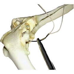 Med Vet International&nbsp;50Lb Double Line, Needle and Crimps, J0710KE