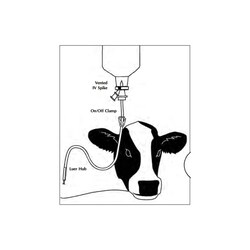 Med Vet International&nbsp;Jorvet Large Bore IV Set, J0400X