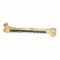 Med Vet International&nbsp;Biological Healing Plates, 2.0mm 8 hole 65mm long - 6mm wide, J0433D