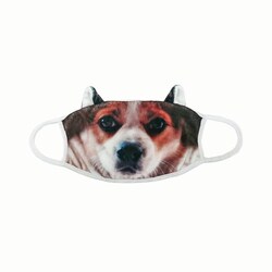 Med Vet International&nbsp;Fun Canine Face Mask, J1538A, Each